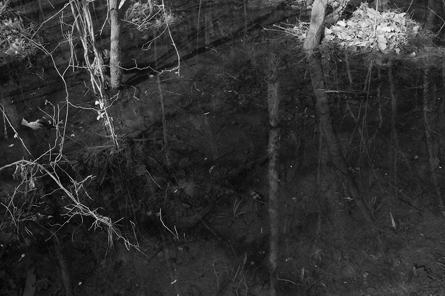 Infred Photo of Wild Standing Water With Reflection of Woods.